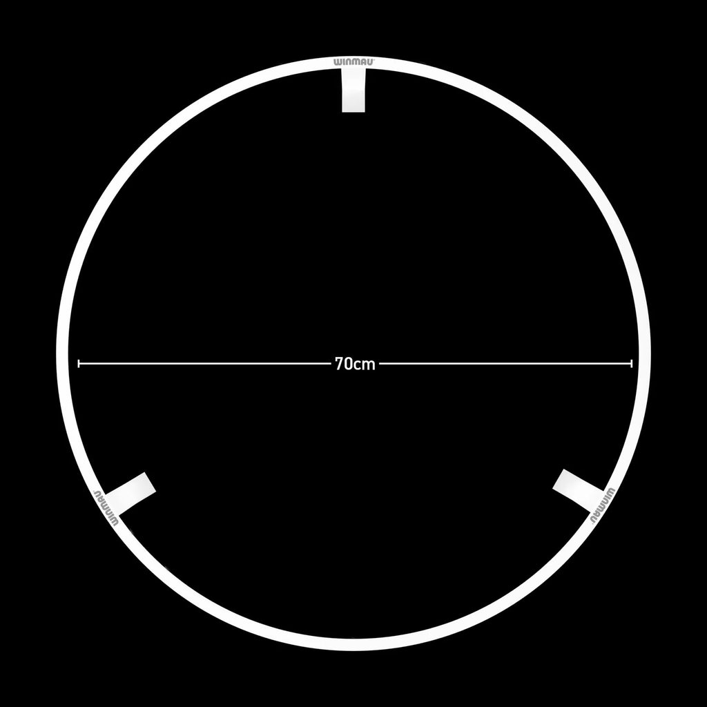 Plasma Ice Dartboard Light