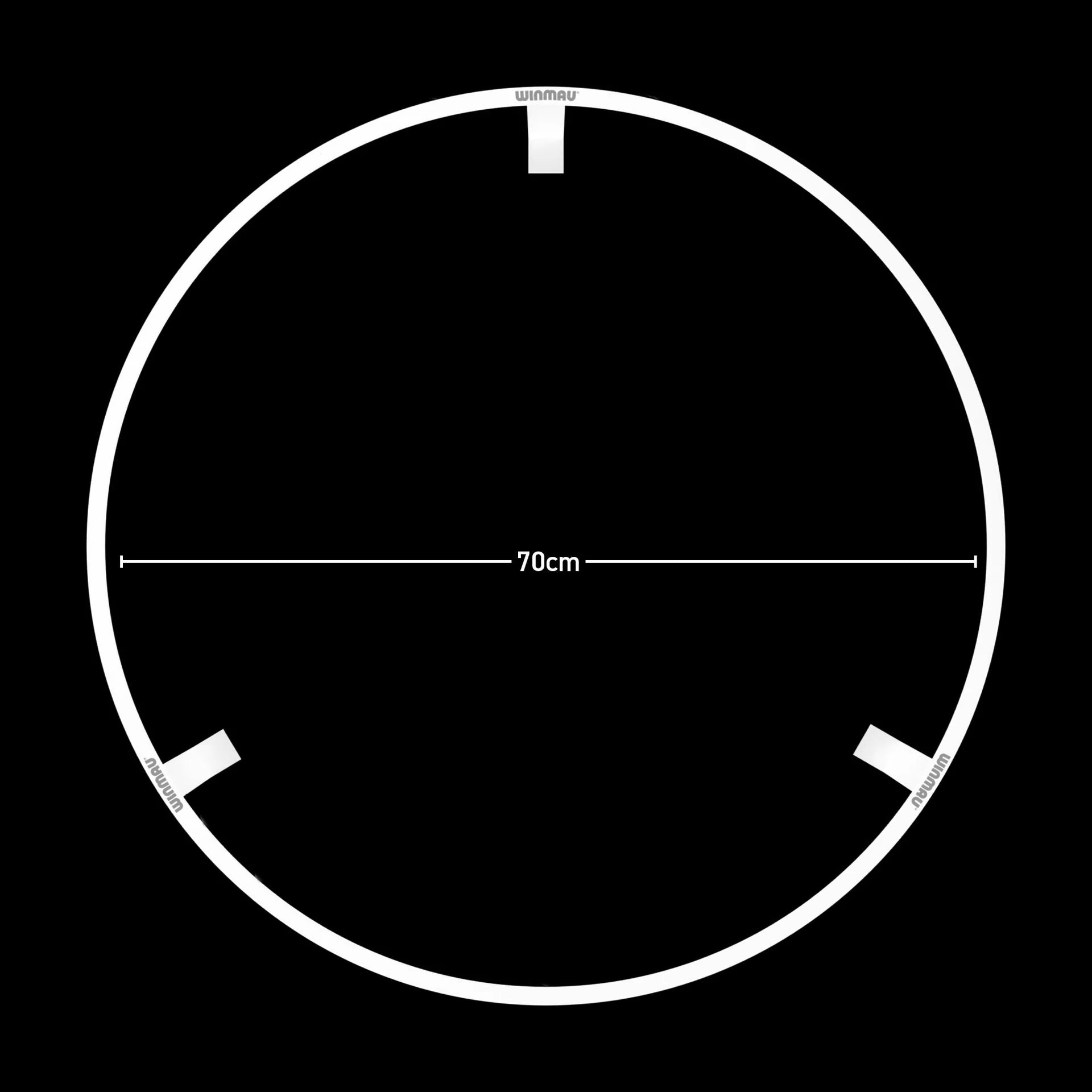 Plasma Ice Dartboard Light