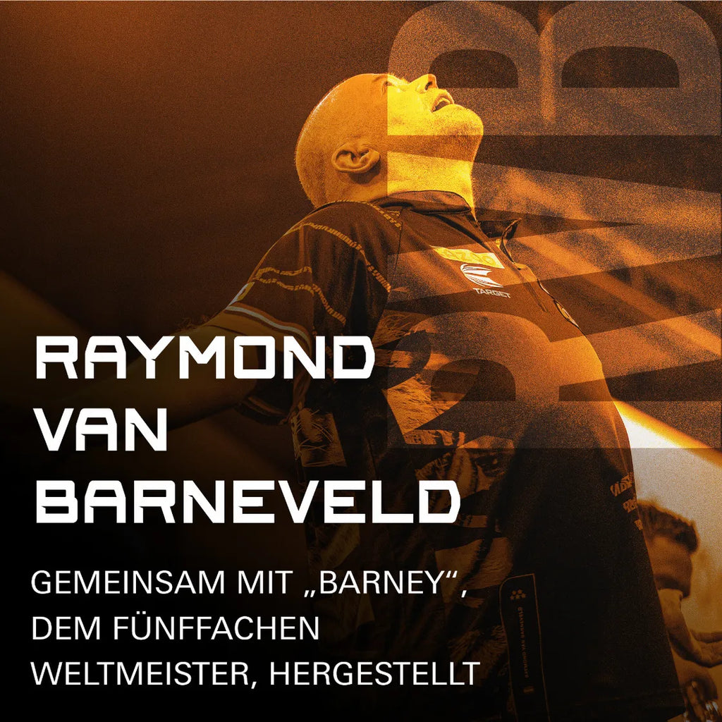 Raymond van Barneveld K-Flex No.2