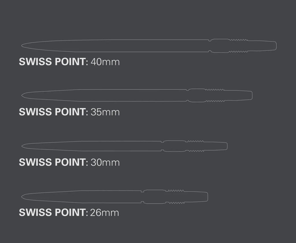 SWISS RVE POINT